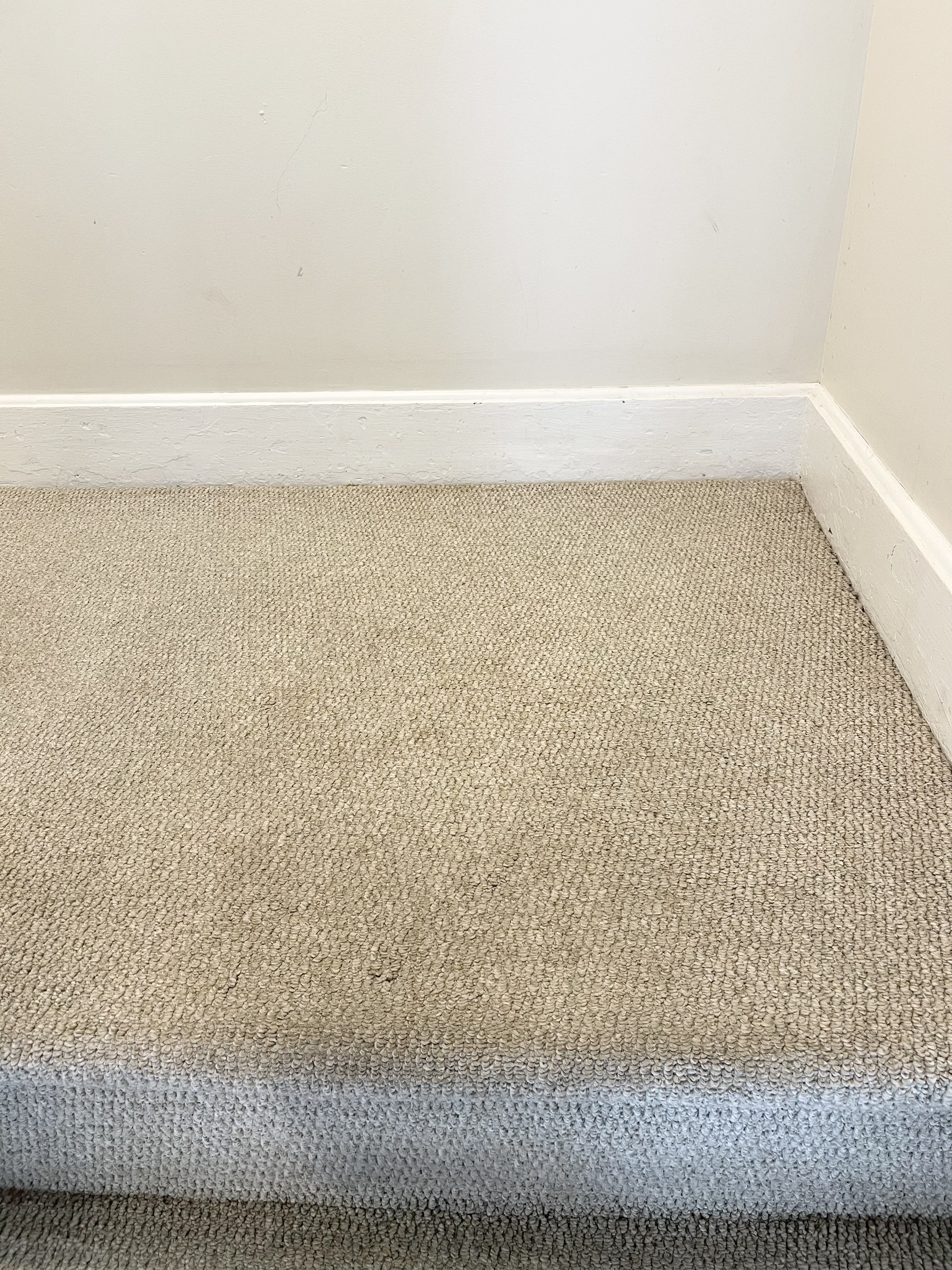 Same carpet area with stain fully removed after professional cleaning.