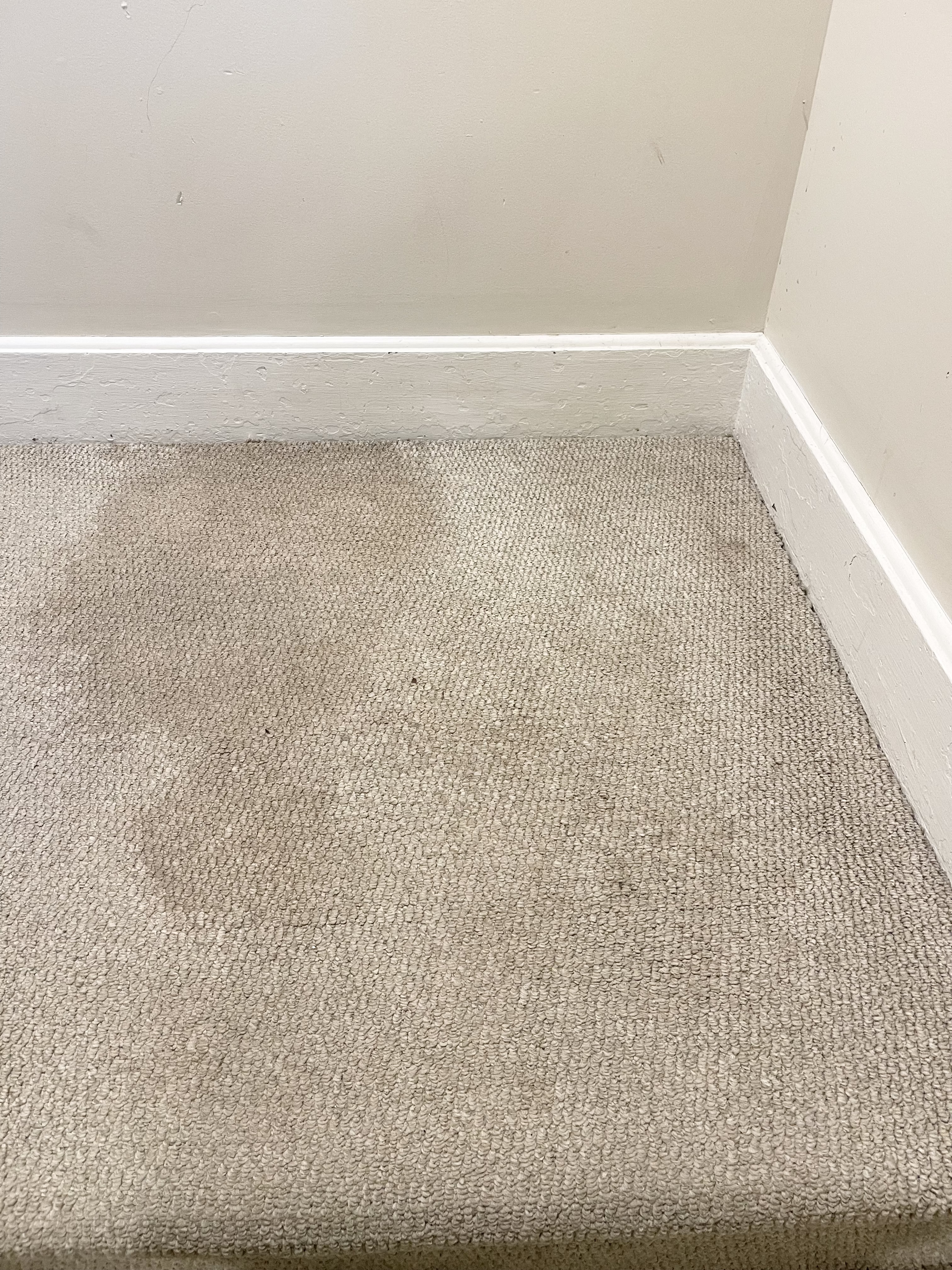 Carpet with a visible stain before professional cleaning.