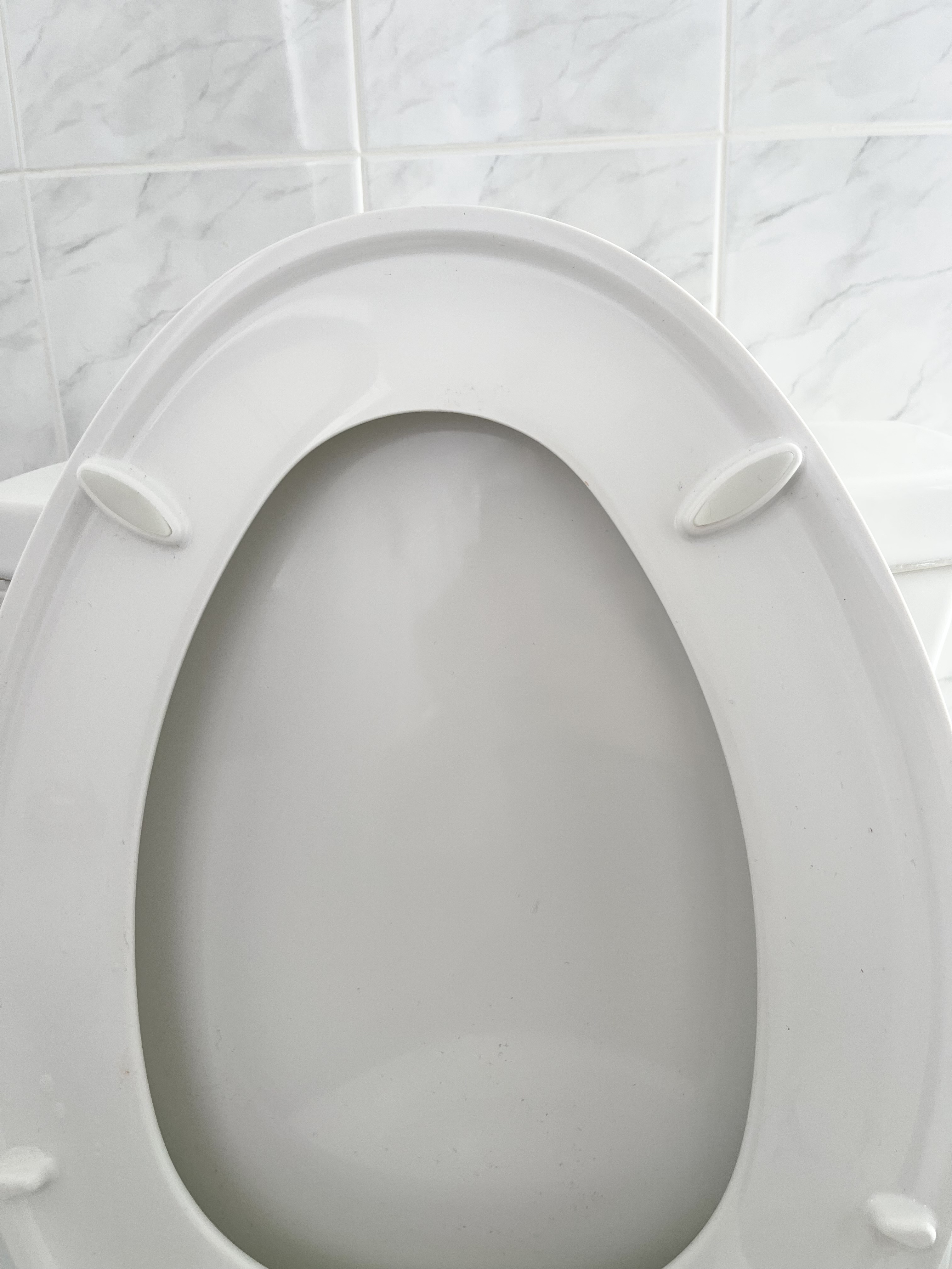 Shining toilet lid after being sanitized and wiped clean.