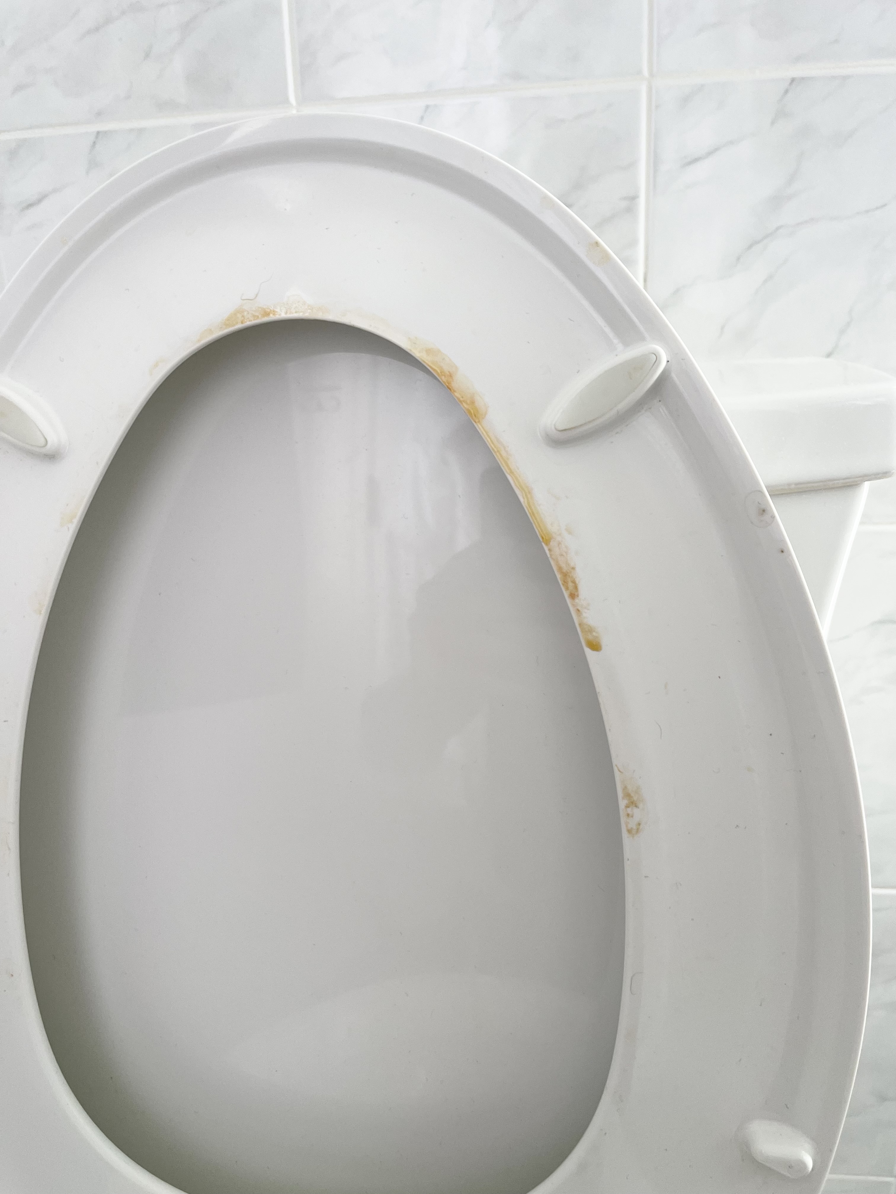 Toilet lid with soil on it before being cleaned.