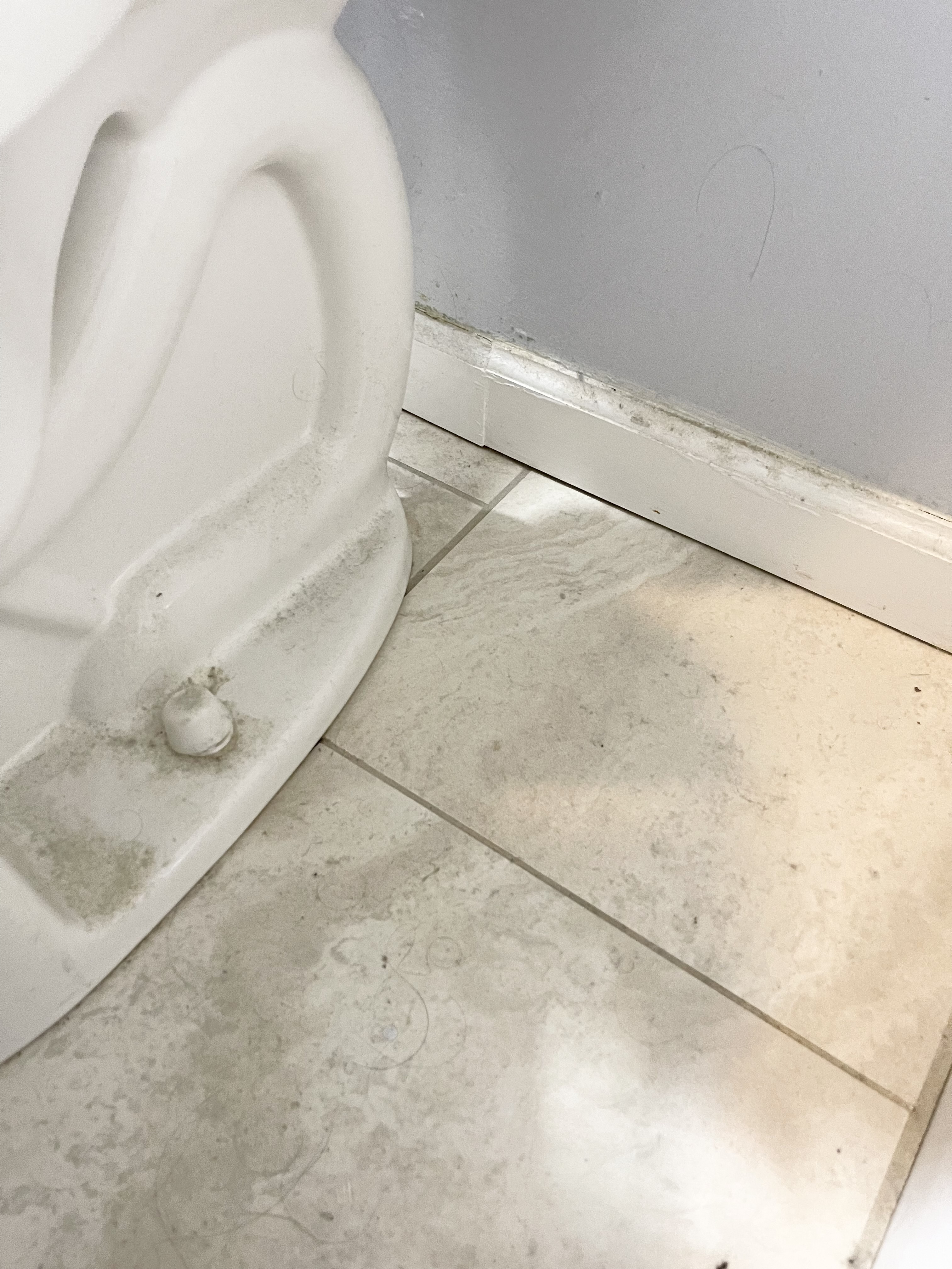 The side of a dirty toilet in a residential home.