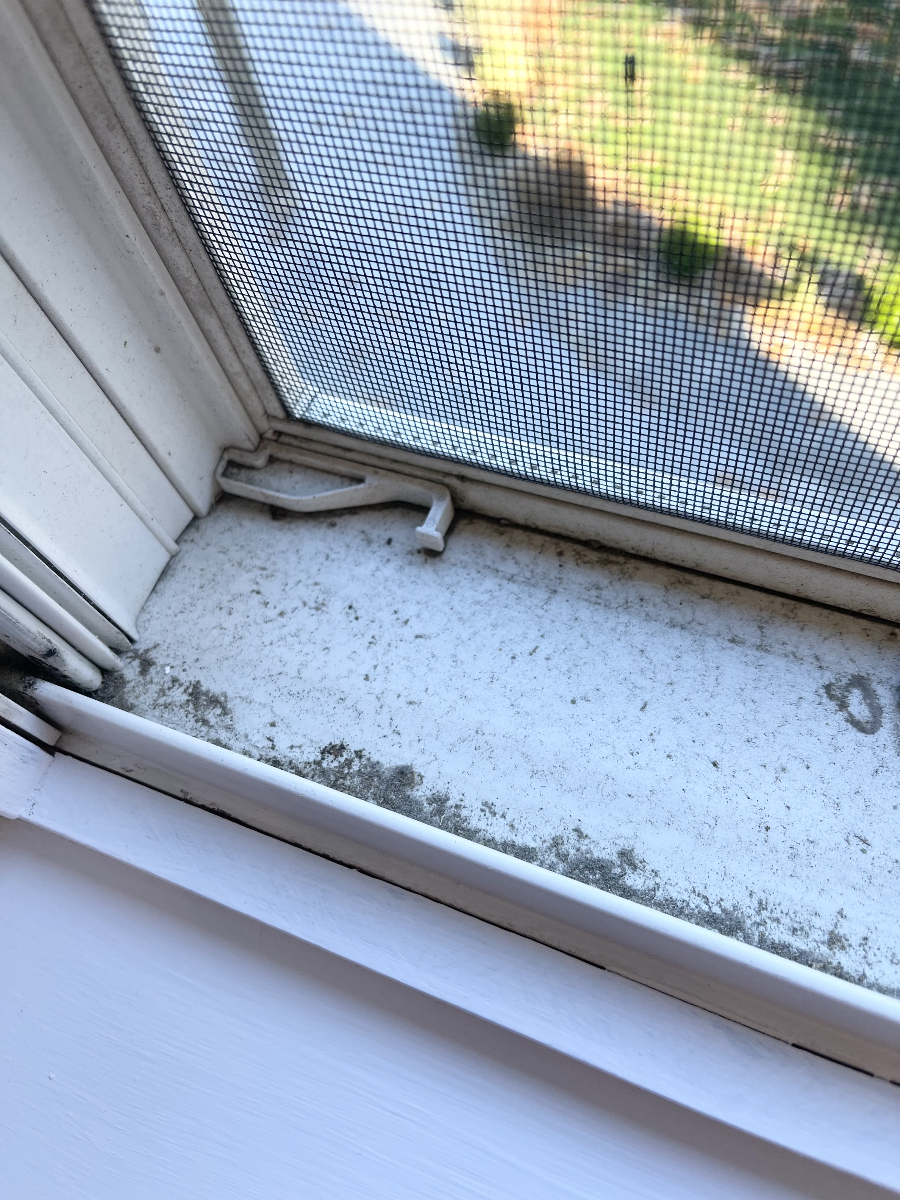 A close up of a dirty window track and sill in an office.